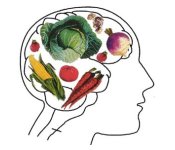 veggieREELtor.com top left banner